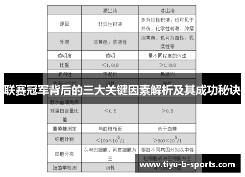 联赛冠军背后的三大关键因素解析及其成功秘诀