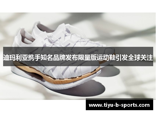 迪玛利亚携手知名品牌发布限量版运动鞋引发全球关注 迪玛利亚携手知名品牌发布限量版运动鞋引发全球关注