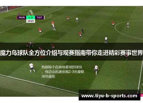 魔力鸟球队全方位介绍与观赛指南带你走进精彩赛事世界 魔力鸟球队全方位介绍与观赛指南带你走进精彩赛事世界