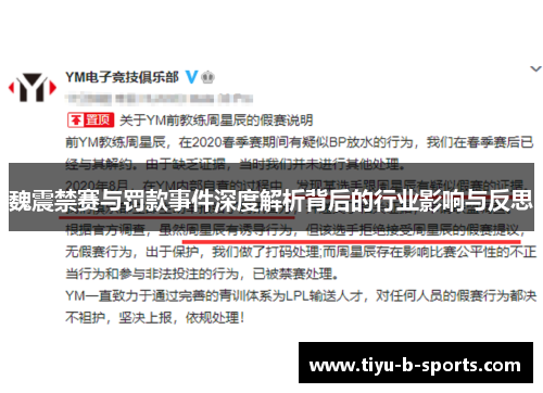 魏震禁赛与罚款事件深度解析背后的行业影响与反思