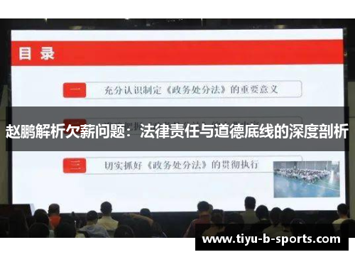 赵鹏解析欠薪问题:法律责任与道德底线的深度剖析 赵鹏解析欠薪问题:法律责任与道德底线的深度剖析