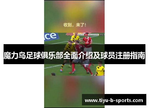 魔力鸟足球俱乐部全面介绍及球员注册指南